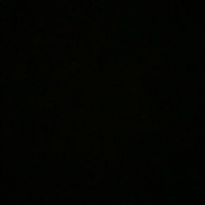 Meet your Posher, Owen